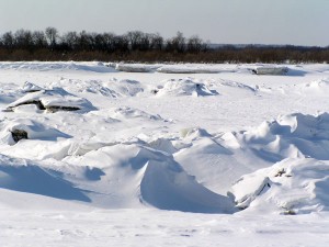 P1010127-600.jpg