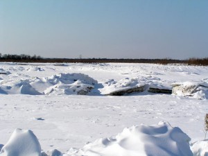 P1010125-600.jpg