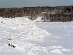 P1010158-600.jpg