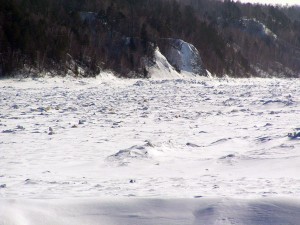 P1010161-600.jpg