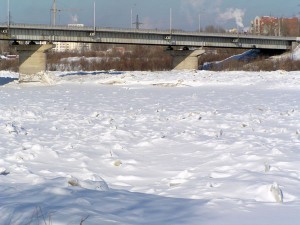 P1010163-600.jpg