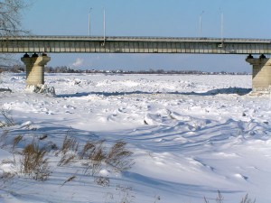 P1010164-600.jpg