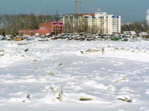 P1010167-600.jpg