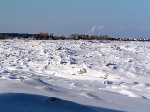 P1010168-600.jpg