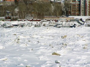 P1010174-600.jpg
