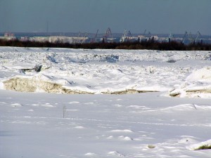 P1010180-600.jpg