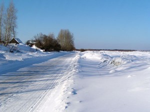 P1010184-600.jpg