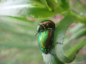 IMG_0493.jpg