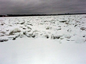 PB190210.jpg