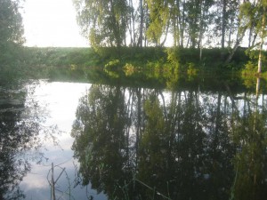 IMG_0552.JPG