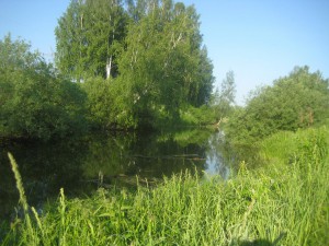 IMG_0554.JPG