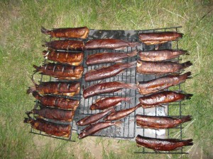 IMG_1902_thumb.jpg